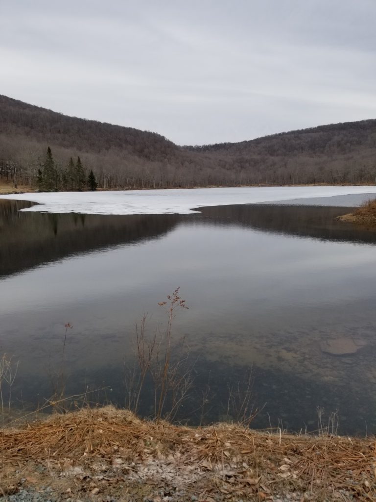 Zen Ordination at Blue Mountain